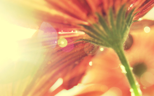 507343 (a): :1440x900